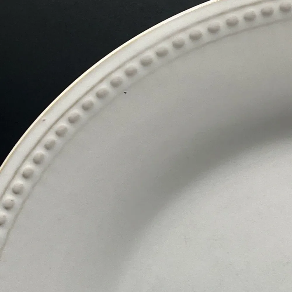 Pier 1 Imports Spice Route Salt Stoneware Dinner Plate 10.5